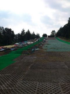 DSC_0196.jpg