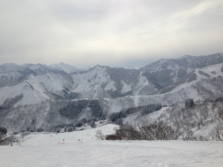 写真 2013-02-12 9 59 25.jpg