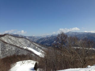 写真 2013-03-04 9 47 25.jpg