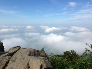 写真 2013-07-07 8 07 23.jpg